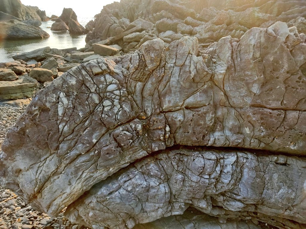室戸岬のタービダイト層と褶曲
#地質の写真をあげる見た人もやる
