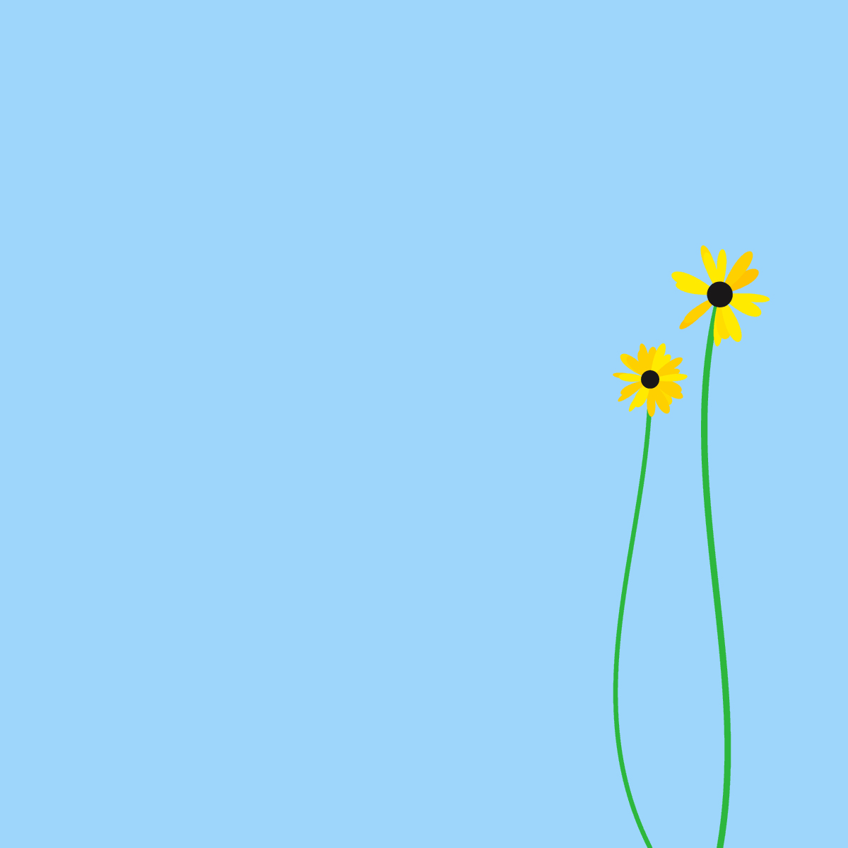 'A Bunch of Yellow Flowers' on @base via @Highlight_xyz. 50 randomly generated images of yellow flowers. Token #1 contains 1 flower, Token #2 contains 2 flowers, etc. Mint for free and receive a random token in the series. First come first serve. highlight.xyz/mint/663d8d9cd…
