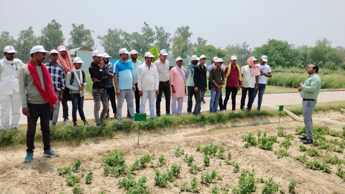 07-05-2024 को कृषि प्रौद्योगिकी प्रबंधन एजेंसी, कैमूर जिले बिहार के 33 किसानों ने सीएसआईआर-सीमैप का दौरा किया। @CSIR_IND @PrabodhTrivedi @DrNKalaiselvi