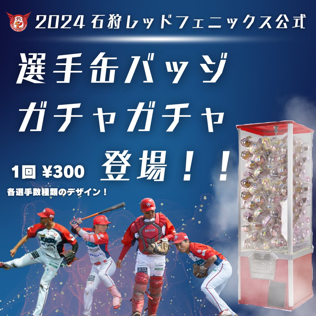 石狩レッドフェニックス公式グッズ情報‼️ 受け付けにて、缶バッジガチャガチャの販売が開始致します📣 1回¥300で回すことができます❗️ デザインも多数ご用意しておりますので、ぜひコンプリート目指してみてください💪🏻 #石狩レッドフェニックス #独立リーグ #北海道フロンティアリーグ