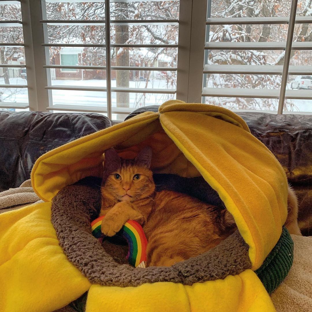 Life is good...

#petproduct #petproducts #dog #pet #petlovers #pets #cat #doglovers #petcare #petshop #catlovers #instadog #dogs #petsupplies #dogproducts #dogsofinstagram #cats #newproduct #instacat #dogproduct #petstore #petdryroom #petdryer #worldwidepepe #petgrooming #dryer