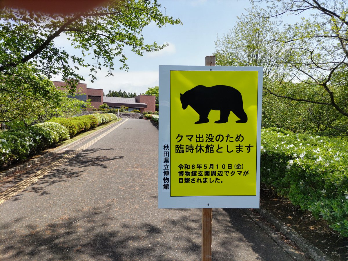 熊出没により秋田県立博物館は臨時休館。
水心苑と菖蒲園は立入禁止になっていますのでご注意ください！！