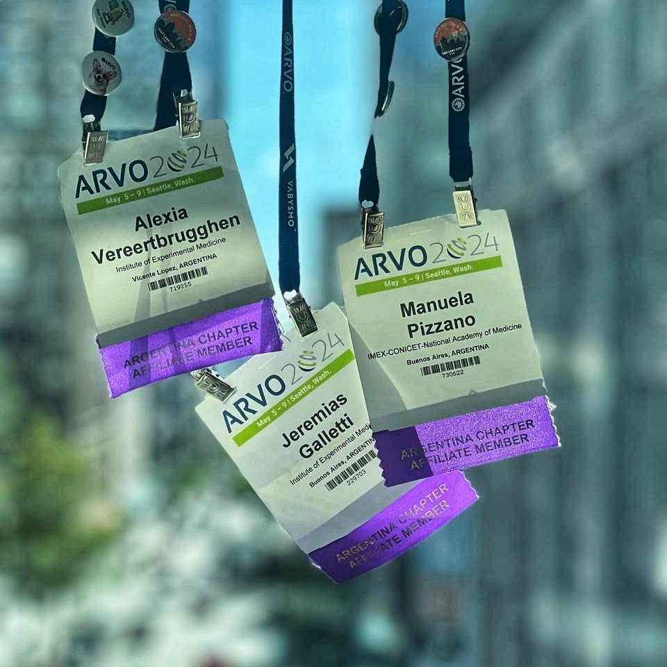 Dr Jeremías Galletti (@drjeregalletti) on Twitter photo It's a wrap! Great #ARVO2024 meeting for all the team. Feeling proud of the team, <a href="/manuelapizzano_/">Manuela Pizzano</a> and <a href="/AleVereertbrug1/">Ale Vereertbrugghen</a> did a wonderful job this year. Now it's time to head back home and rest! It's a wrap! Great #ARVO2024 meeting for all the team. Feeling proud of the team, <a href="/manuelapizzano_/">Manuela Pizzano</a> and <a href="/AleVereertbrug1/">Ale Vereertbrugghen</a> did a wonderful job this year. Now it's time to head back home and rest!