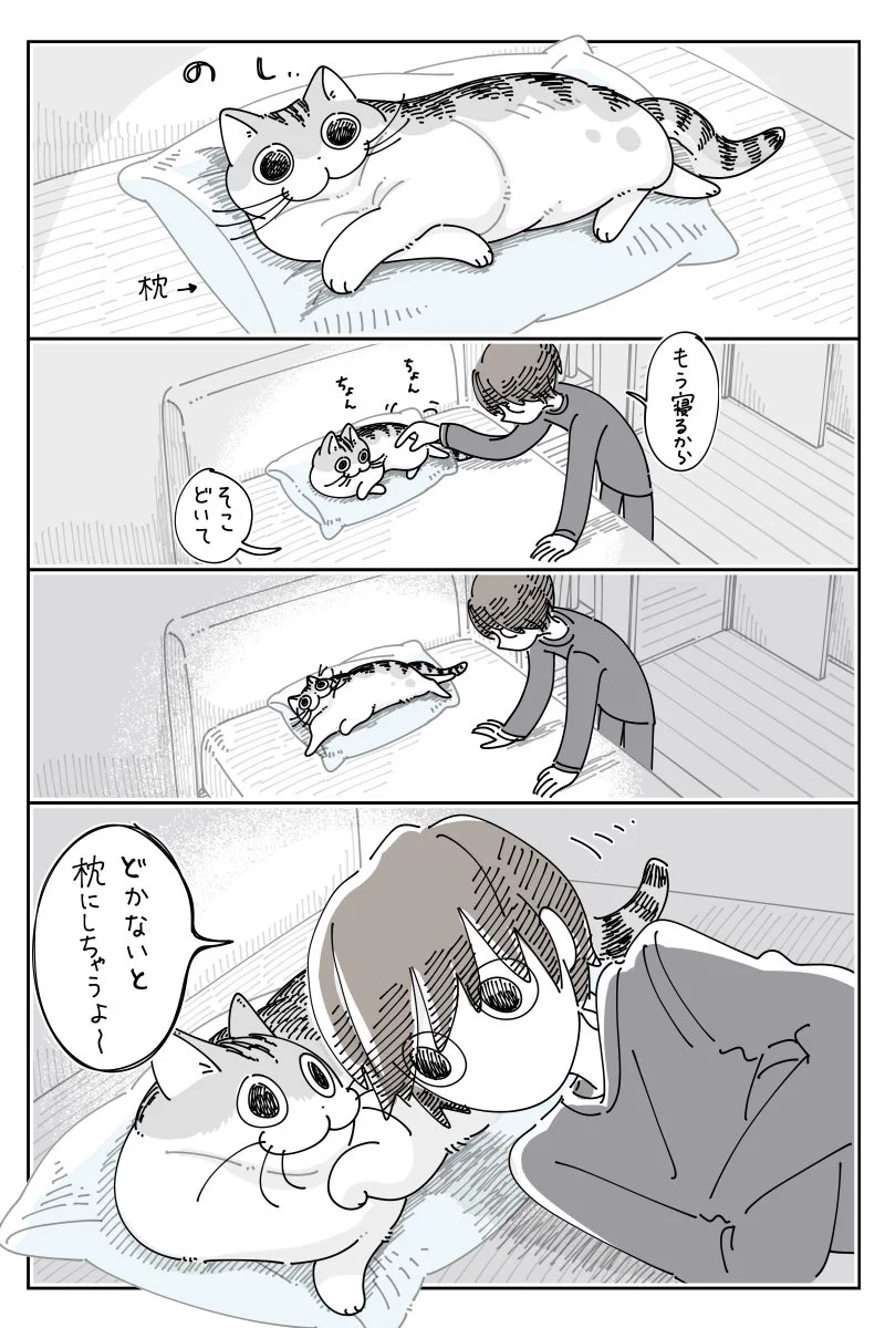 猫と蓄音機の帯 GNL9BcJbAAAIPUu?format=webp&