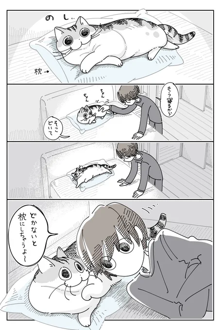 ネコのお腹の音 