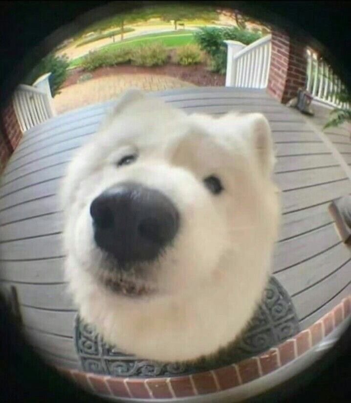 ขอให้เป็นวันศุกร์ที่ใจดีกับเธอทั้งวันเลยนะ :-)