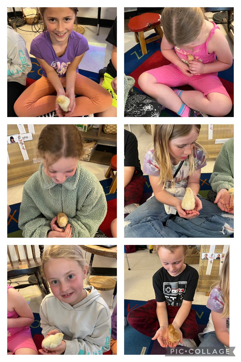 Classe de Mme Cindy tweet media