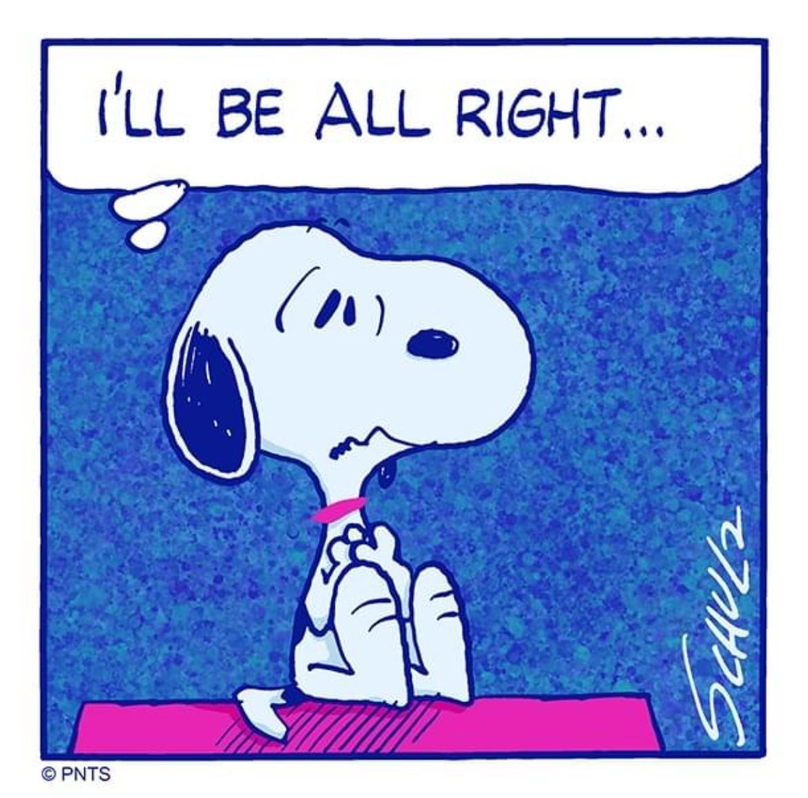 You got this! #Peanuts