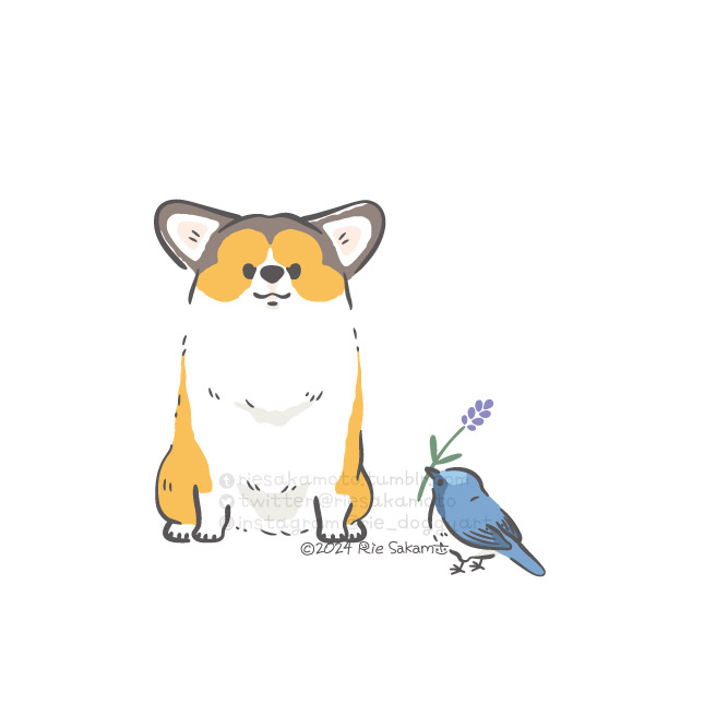 「animal shiba inu」 illustration images(Latest)