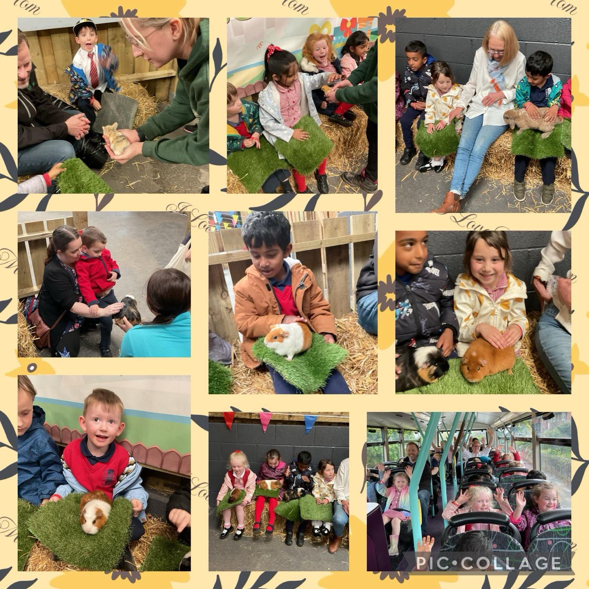 Reception and Nursery had an amazing time on their trip to Reddish Vale Farm. We got to handle some small animals and meet and feed some of the larger animals on the farm. The children represented St Simon’s fantastically and the sun shone. @ReddishValeFarm