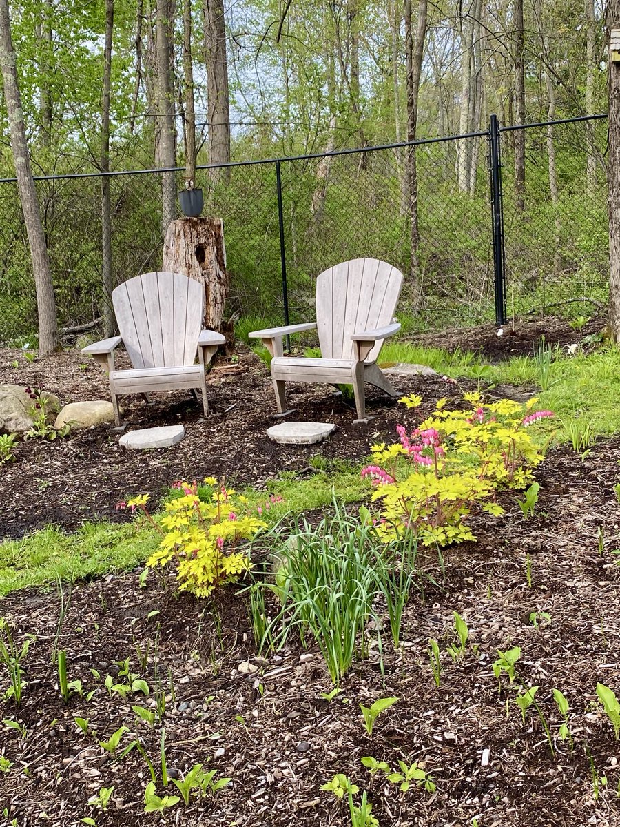 If hope had a color It would be spring green. Invigorating and life affirming #LynnesGarden #gardening