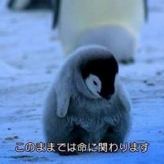 gin_bio's tweet photo. 大学院生 (改訂版) https://t.co/uKpaMGBYGX