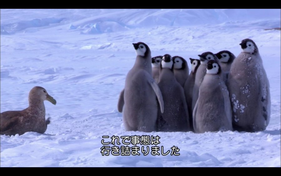 gin_bio's tweet photo. 大学院生 (改訂版) https://t.co/uKpaMGBYGX