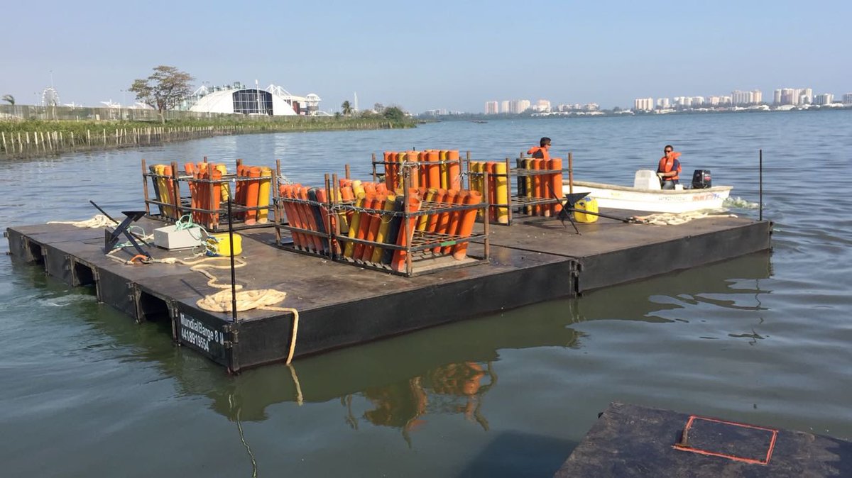 Whindersson tweet media