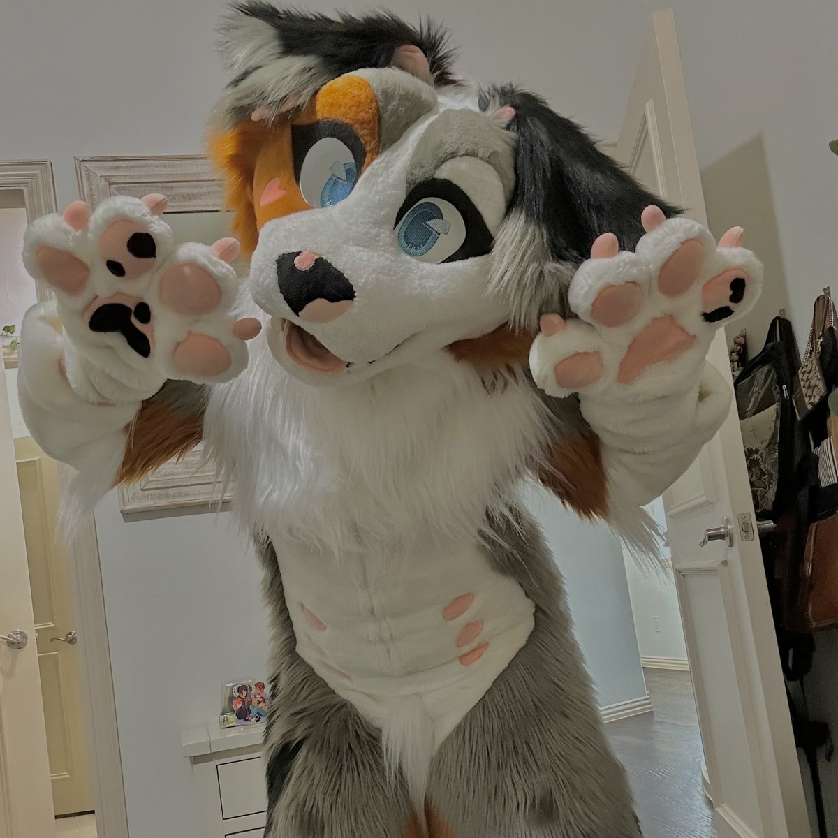 splashana 🌿 tweet media