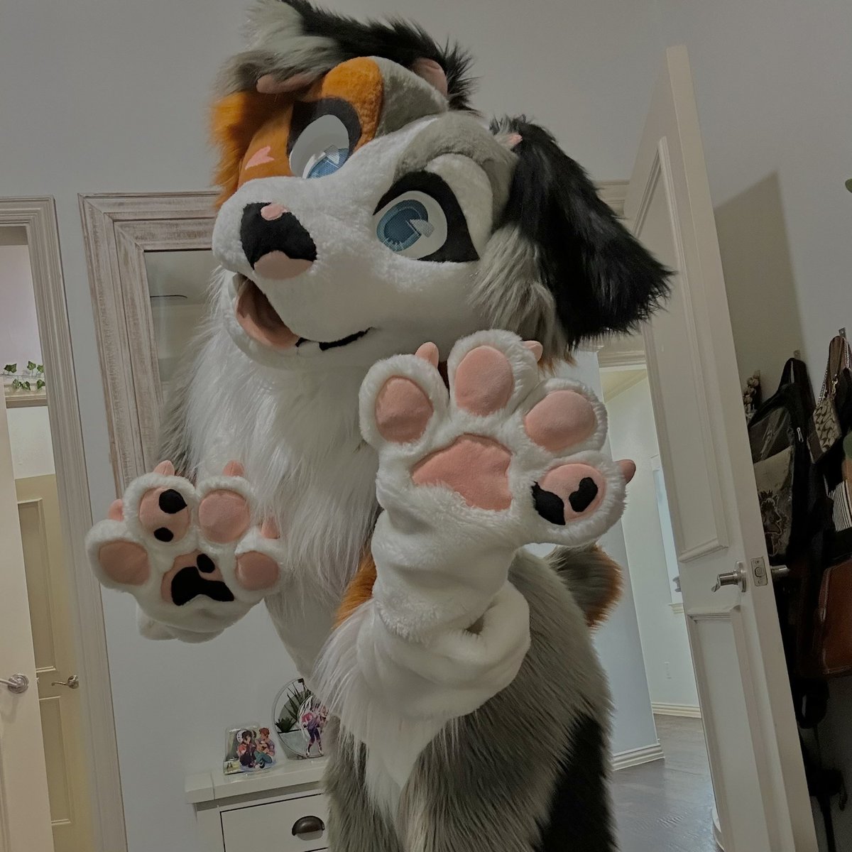 splashana 🌿 tweet media