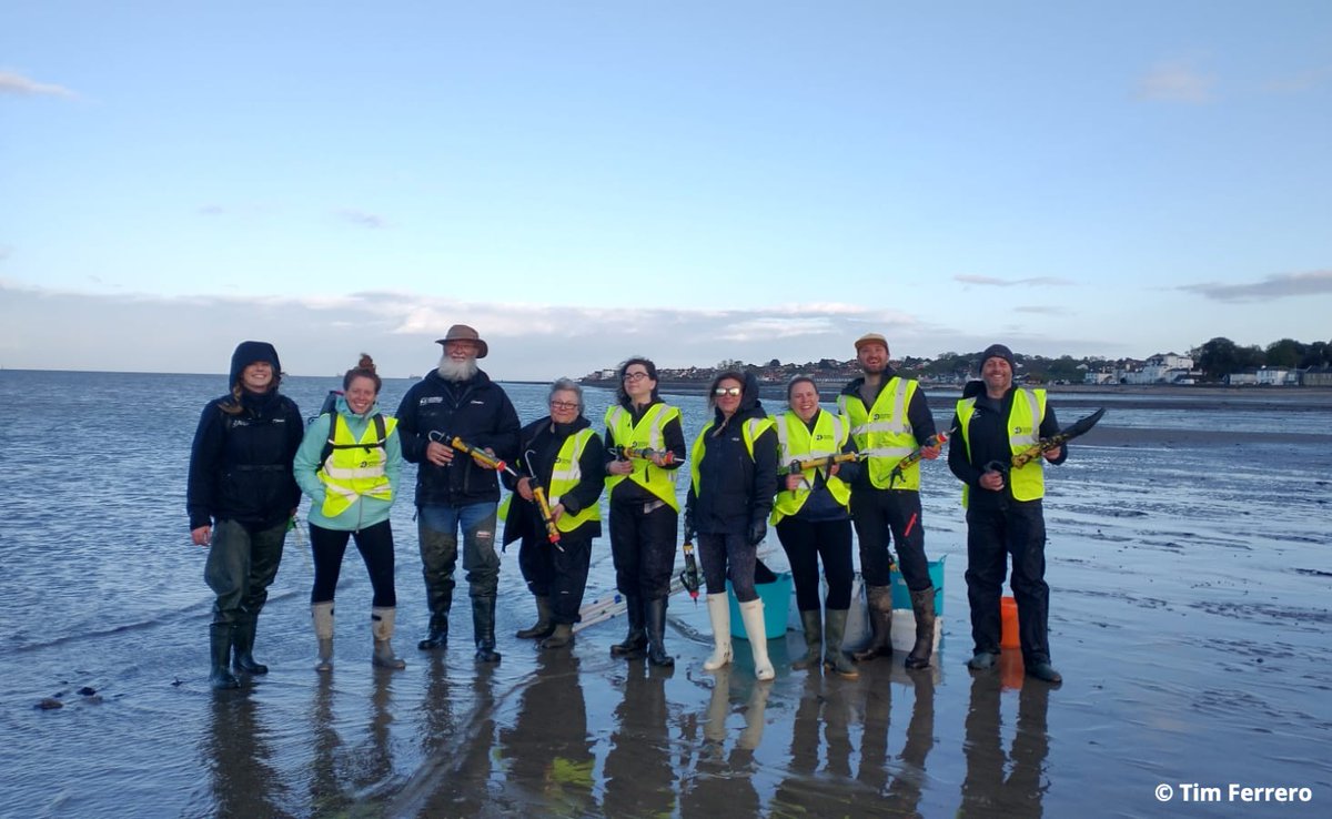 40,000 seagrass seeds have been successfully planted at Calshot and Seaview as part of our Solent Seagrass Restoration Project and Solent Seascape Project. This is an exciting milestone towards our vision of a #wilderSolent, for both people and wildlife 🎉