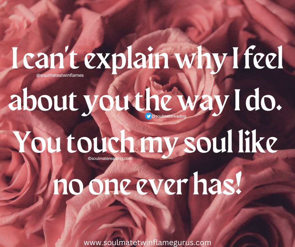 I can't explain why I feel about you the way I do. You touch my soul like no one ever has!#iloveyou #loveyou #LoveWins #lovealways #lovealwayswins #eternalflame #lovequote #lovequotes #lovequotesandsayings #howmuchiloveyou #loveislove #loveyou