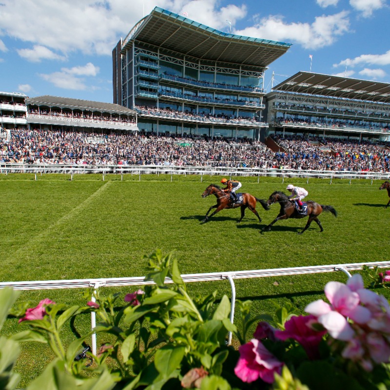 🚨 Competition time

We are giving away 2 pairs of tickets in the County Stand for day two (Thursday, May 16) of the Dante Festival. The details to enter:

♻️ RT this tweet
✅ Follow <a href="/yorkracecourse/">York Racecourse</a> 

Competition closes on Monday at 5pm