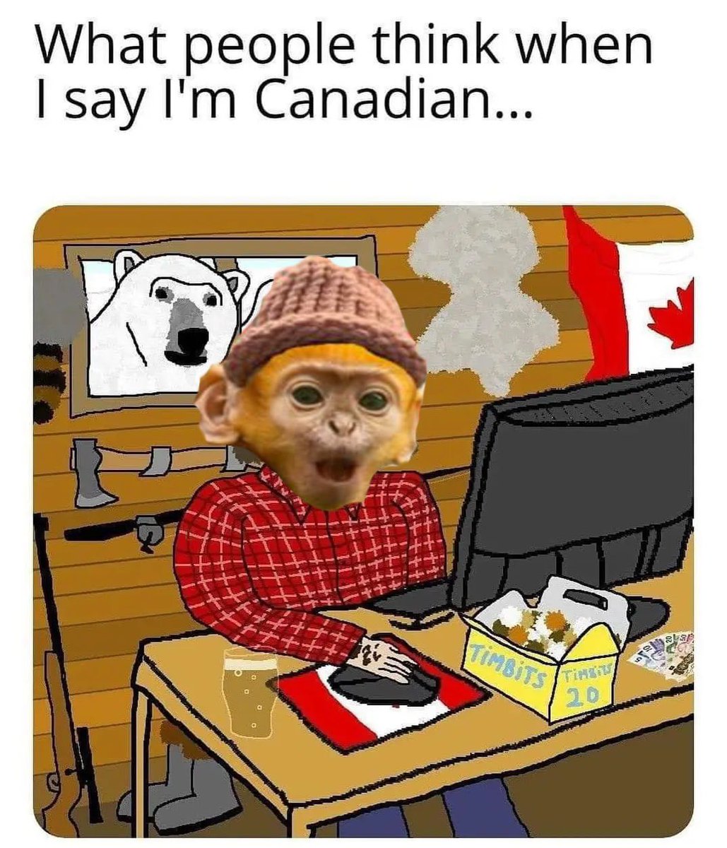 <a href="/TheMisterFrog/">Mr. Frog</a> <a href="/bankmansneed/">REPTARD - scatt/acc</a> $BULU the cutest monkey on Solana. Sendor!! pump.fun/EvumvxBK3RYbfF…