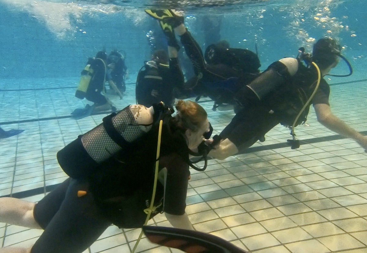 🌊🔍 Dive into the action with us! Check out these underwater shots as our Seals map their wreck on their latest Aquamission, & our dedicated open water students conquer their skills beneath the surface. Ready to join the adventure? 🌊🐠

#northamptonscubaschool #scubanuts #padi