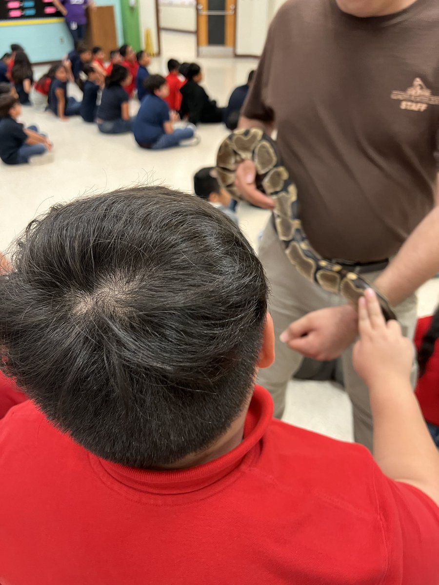 LaurelesMustang's tweet photo. Thank you Gladys Porter Zoo for sharing a few of your animals with our bilingual students. 🐊🐍🦔 https://t.co/4Ql3QkXZm9