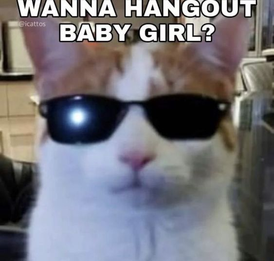 findomella2's tweet photo. How does Pinterest see you? 🖤 
Type Out: 
-Character
 -Tattoo 
-Doll 
-Animal   

Princess style cat girl. Accurate.

ꜰᴇᴇᴛ 2ᴅꜰᴅ ᴄᴀᴛꜰɪꜱʜ ꜰɪɴᴅᴏᴍ ᴘᴀʏᴘɪɢ ʀᴇɪᴍʙᴜʀꜱᴇᴍᴇɴᴛ ʙᴍ ɢᴀᴍᴇ ʀᴛ ɢᴀᴍᴇ ᴛʀɪʙᴜᴛᴇ ꜰᴇᴍᴅᴏᴍ ᴅᴏᴍᴍᴇ https://t.co/8VriyjoVBB