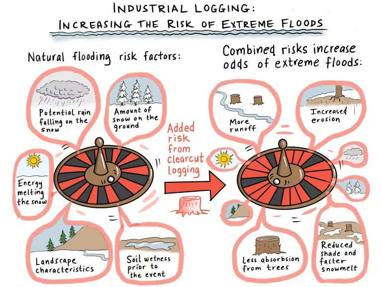 AnthonyBritneff's tweet photo. NRDC: Forest Degradation Increases Community Vulnerability to Extreme Floods https://t.co/z7UWZ6Utag… #clearcutting #logging #flooding #communities #forests #bcpoli #cdnpoli https://t.co/uh7EYkUJVP