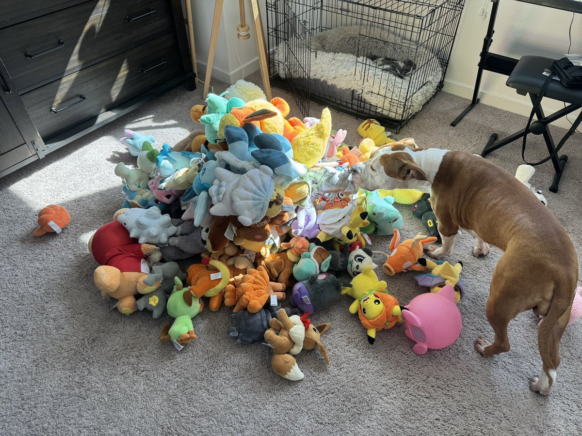 organizing my boyfriend’s stuffed pokémon collection and i think i bit off more than i can chew (tuna for scale)