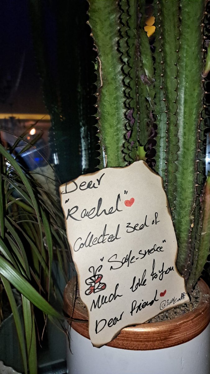 ● Saye ● tweet media