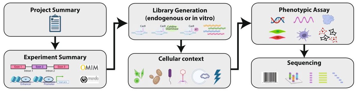 Andrew Glazer (@amglazer) on Twitter photo Check out our paper: Minimum information and guidelines for reporting a multiplexed assay of variant effect. Great team effort through the AVE alliance <a href="/varianteffects/">Atlas of Variant Effects Alliance</a> <a href="/MelinaClaussnit/">Melina Claussnitzer, Ph.D.</a> <a href="/vnparikh/">Victoria Parikh, MD</a> Alex Wagner <a href="/Bennibolo/">Benedetta Bolognesi</a> <a href="/rubin_af/">Alan Rubin</a> genomebiology.biomedcentral.com/articles/10.11… Check out our paper: Minimum information and guidelines for reporting a multiplexed assay of variant effect. Great team effort through the AVE alliance <a href="/varianteffects/">Atlas of Variant Effects Alliance</a> <a href="/MelinaClaussnit/">Melina Claussnitzer, Ph.D.</a> <a href="/vnparikh/">Victoria Parikh, MD</a> Alex Wagner <a href="/Bennibolo/">Benedetta Bolognesi</a> <a href="/rubin_af/">Alan Rubin</a> genomebiology.biomedcentral.com/articles/10.11…
