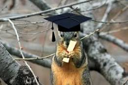 SquirrelsUsm's tweet photo. Your Squirrels are now graduates of the class of 2024 from @SouthernMiss #SMTTT https://t.co/BG36p5EtzS