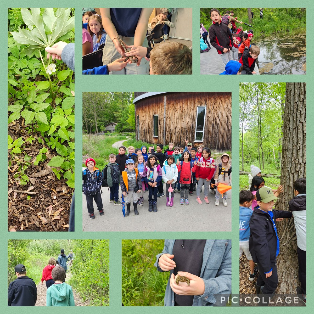 Biodiversity at Ojibway Park Nature Centre!  We learned about what we might hear/see while on our hikes, saw a variety of birds and pet a snake!  A good start to our #sharingtheplanet theme!  @ibpyp