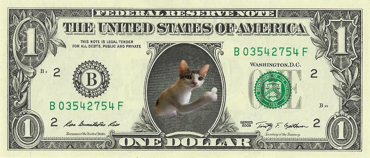 FLIPCAT WILL FLIP THE US DOLLAR. #FLIPCAT