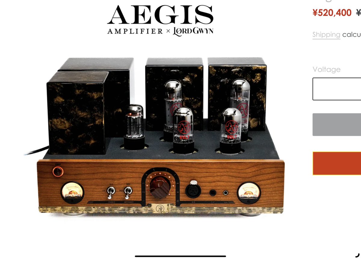 新しい真空管アンプ….a new tube amplifier….this is sick 😍