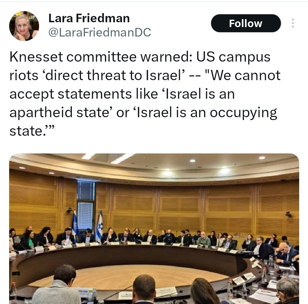 Israeli: 'American students protesting is a direct threat to Israel'