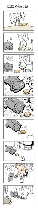 ほにゃらん波#こんなん描いてます #自作まんが #漫画 #猫まんが #4コママンガ #NEKO3 