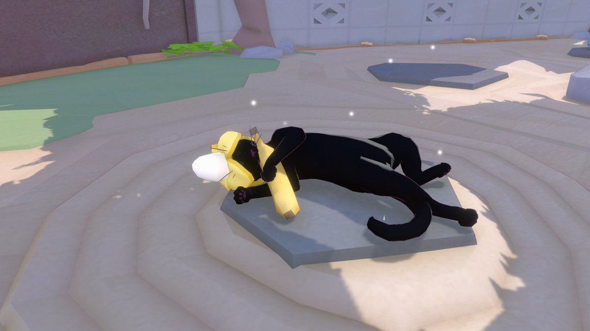 Be cat, do cat things. 10/10, would play with bananas and become banana loaf again. 
#LittleKittyBigCity