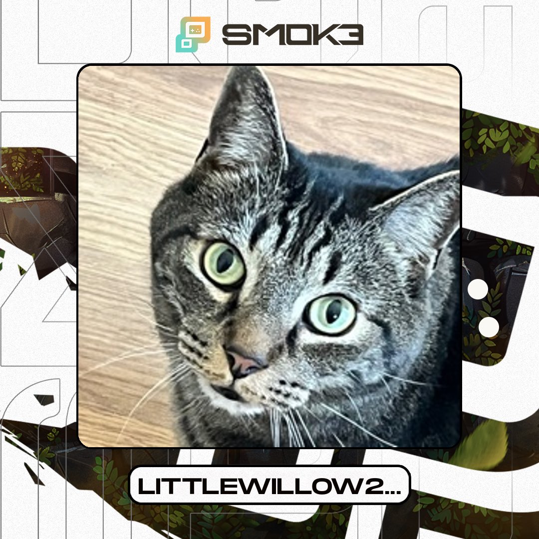 janice_rhett's tweet photo. @smok3io super excited for the opportunity! https://t.co/QdReWzLU2g