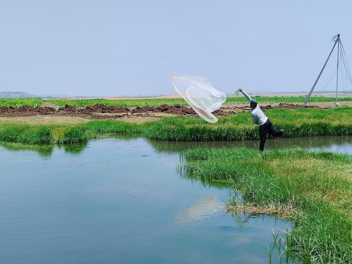 One of our team members @ArnabPr55601958 exploring biodiversity in a freshwater wetland @ITMERG1