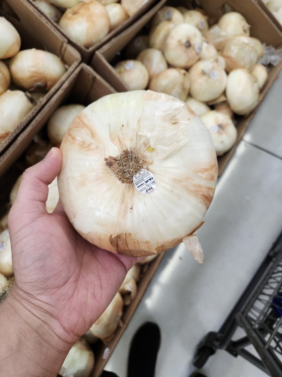 Check out this onion