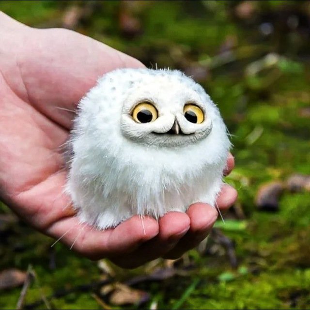 <a href="/ResolventSol/">Resolvent</a> $Hootie <a href="/hootie_pump/">HOOTIE the cute Owl</a> is up and running 
Don't sleep on this gem 
Let's moon 🚀🚀🚀