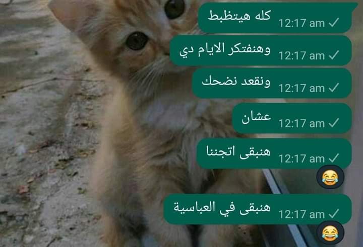 kikiii (@star_girlllllll) on Twitter photo 