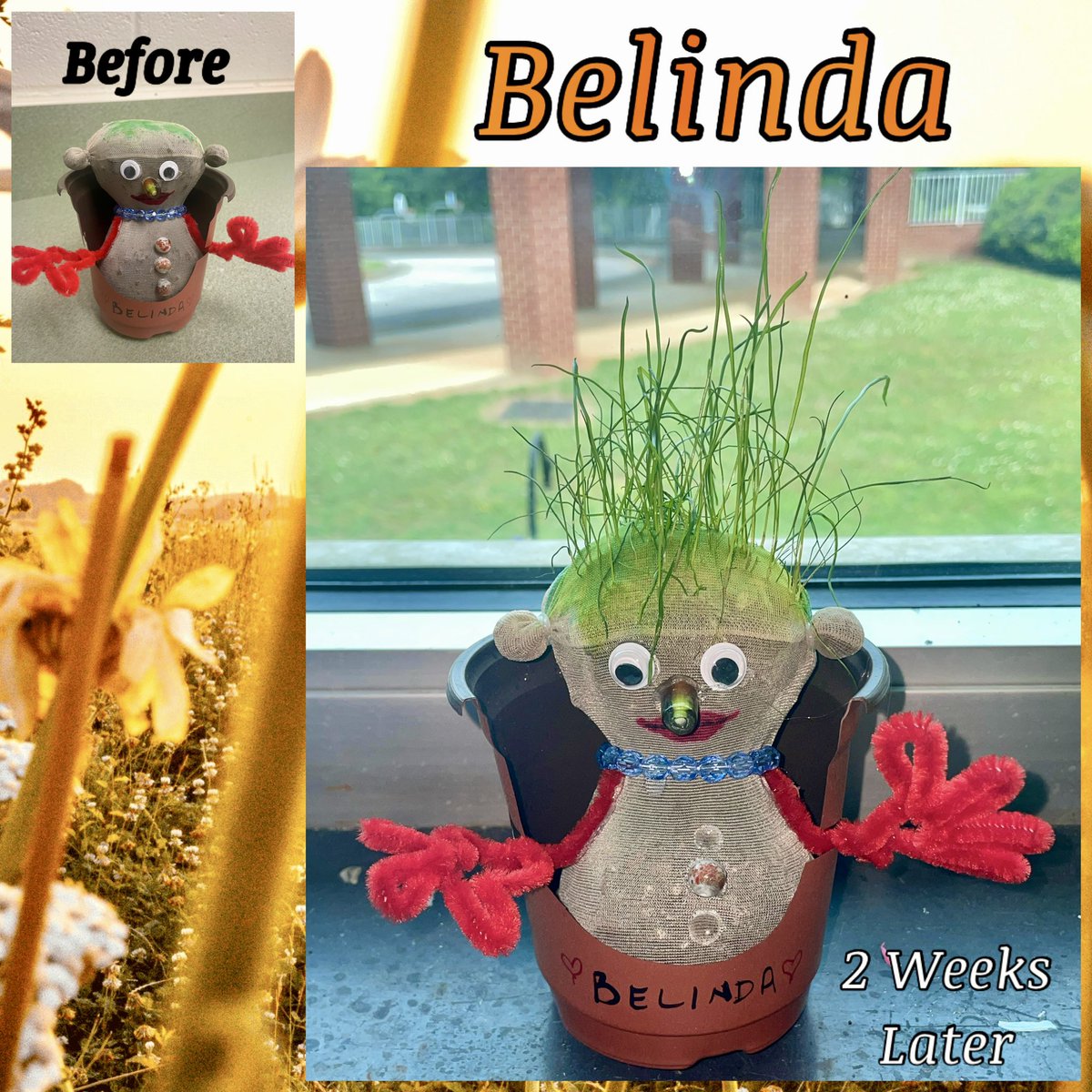 Belinda Update!! She has hair! #GrassHead 🌾 #EarthDayEveryDay