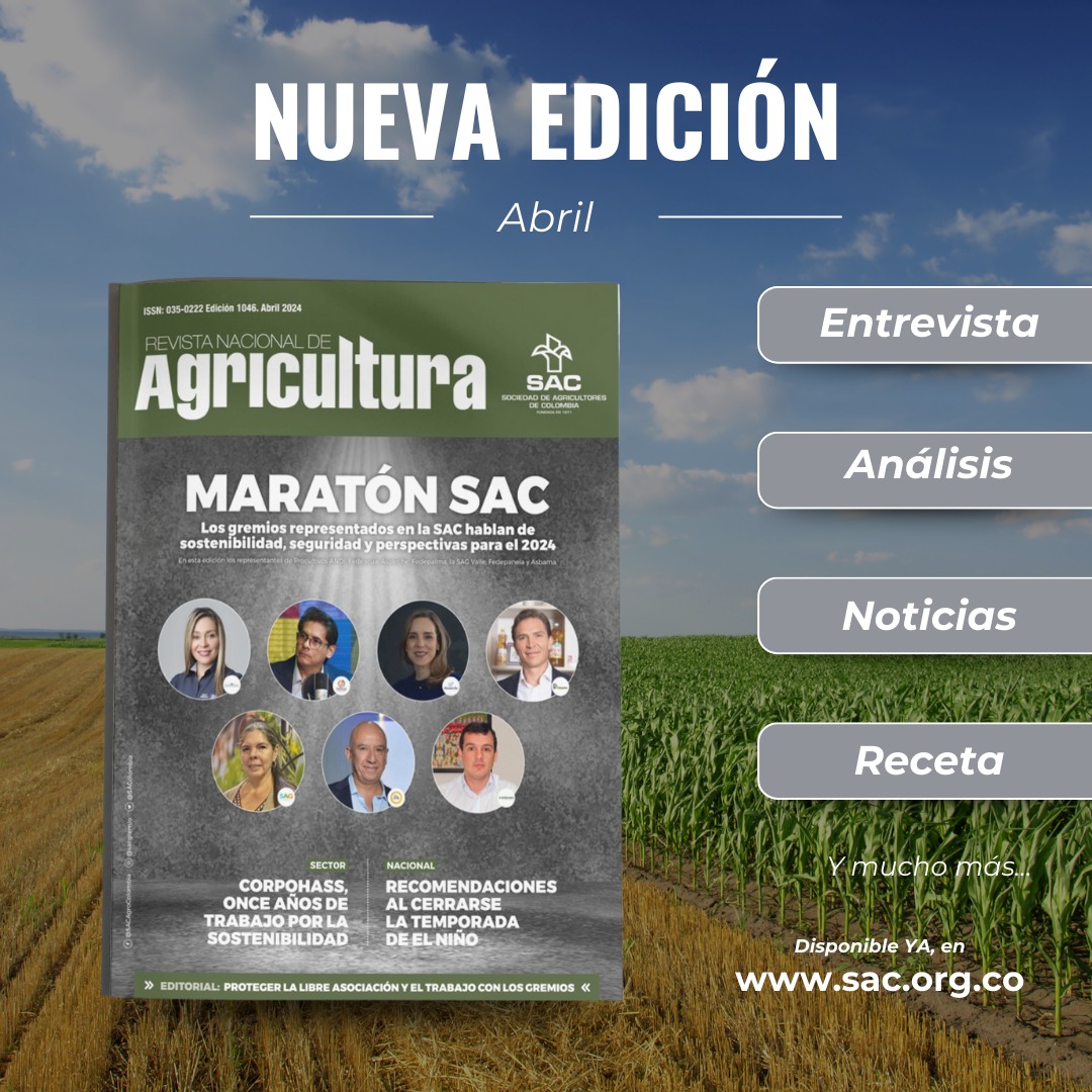 Ya pueden leer la última edición de la #RNA 📕 Encuentren aquí: -🎙️Entrevista con los líderes de @ProcultivosAndi @fedeacuacol @FedepalmaOrg @asoleche @sagvalleorg @fedepanelacol @asbama_ -Análisis del anteproyecto de PGN 2025 -Receta 🍪de @fedecacao 👉sac.org.co/wp-content/upl…