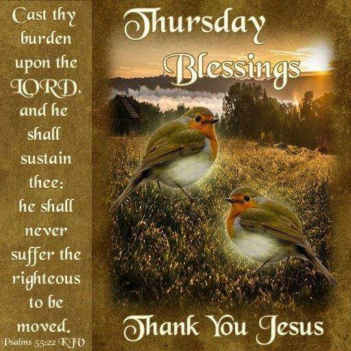 Thursday Blessings #WVHP #ThankfulThursday #ThursdayThoughts #ThursdayMood #ThursdayBlessings #ThursdayBlessing #ThursdayVibes