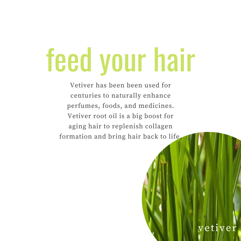 Ground your hair care routine with Vetiver Brasil Essential Oil! 🌿🌎 Earthy vibes for a balanced and calm scalp. To learn more about us and the ingredients we use, click the link in our bio! #ekoehbrasil #feedyourhair #hairfoodcolorcream #rethinkyourhaircolor #vegan #organic