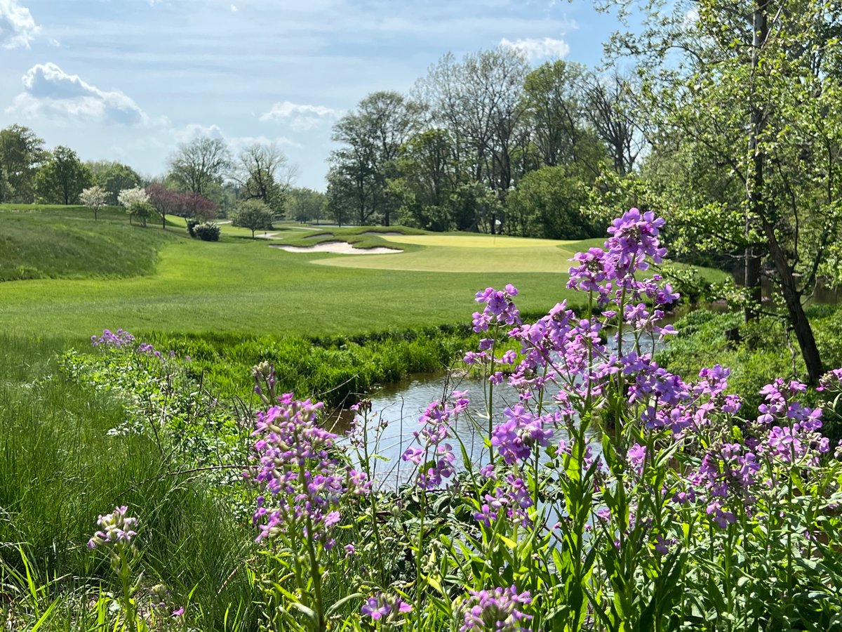 James Bryson tweet media