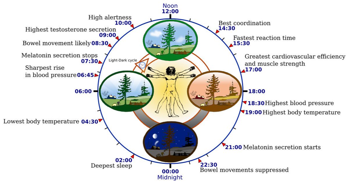 Yoga and circadian science overlap through Standard Time. #NaturalTime #Yoga #SaveStandardTime #DitchDST