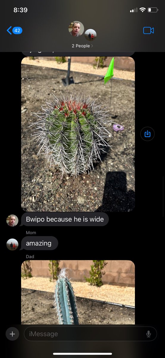 KC Busio 🐶 tweet media